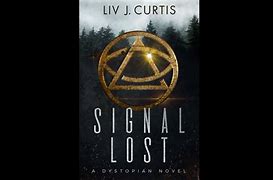 Image result for Signal Lost Image VCR