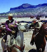 Image result for Sean Kelly From the Cowboys