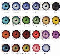 Image result for Top 10 Rarest Eye Colors