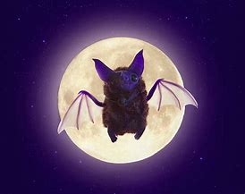 Image result for +Bat Souishy Purple