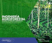 Image result for agroforestal