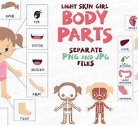 Image result for Cute Anatomy Clip Art