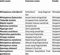 Image result for California Bats Species