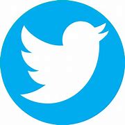 Image result for Twitter Icon PNG Blue