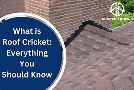 Image result for Prefab Roof Cricket