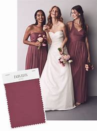 Image result for Champagne Bridesmaid Morning Suit