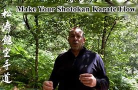 Image result for Shotokan