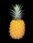 Image result for Pineapple High Victoria Secret