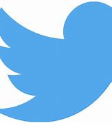 Image result for Twitter Logo Picture