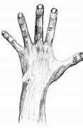 Image result for Thing Hand From Wednesday
