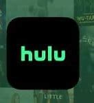 Image result for Someone's Hulu Login