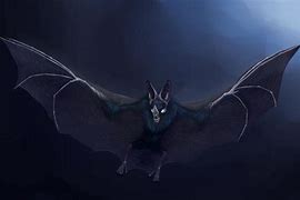 Image result for Vampire Bat No Background