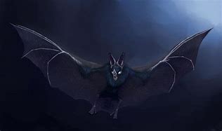Image result for Cartoon Vampire Cricket Ball Bat