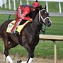Image result for Kentucky Derby Horse 150