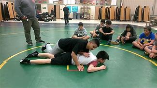 Image result for Wrestling Sillhouettes Armbar