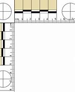 Image result for Standard Metric Ruler