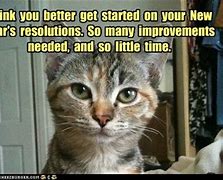 Image result for Broken New Year Resolution Funny Cartoon