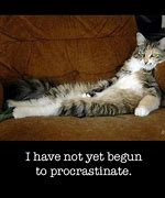 Image result for Funny Quotes About Procrastination