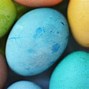 Image result for Photos of Eggs
