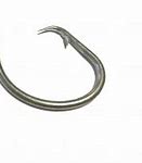 Image result for Fish Hook Transparent