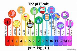 Image result for pH Scale Diagram