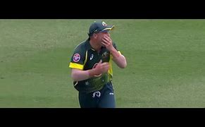 Image result for Direct-Hit Cricket