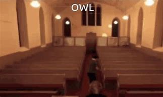 Image result for Deepwoken Owl Meme