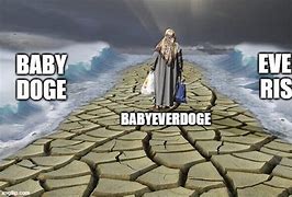 Image result for Baby Doge Meme