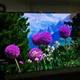 Image result for LG OLED TV 4K Wallpaper