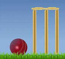 Image result for Cricket Wicket Cartoon