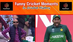 Image result for Funny Cricket Faces