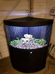 Image result for 5Ft Corner Tall Fish Tank