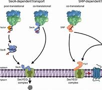 Image result for SRP Utilities