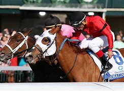 Image result for Horse Racing Daily Double Signs