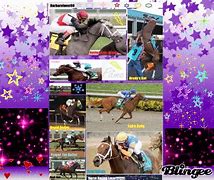 Image result for Horse Racing Movie with Zebra
