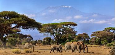Image result for Places to Go in Africa