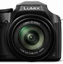 Image result for Panasonic Lumix Fz80 Attachable Screen