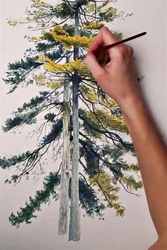 Pair of Pine Trees - the painting process | I create watercolor art to help people who love… in 2021 | Nature illustration, Watercolor landscape paintings, Watercolor trees