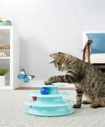 Image result for Cat Toys for Bored Cats