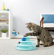 Image result for Best Cat Toys for Bored Cats