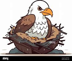 Image result for Eagle Nest Cartoon