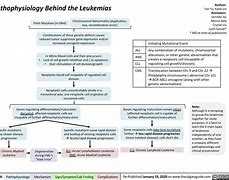 Image result for Leukemia Pathophysiology
