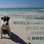 Image result for Dog Sayings Love