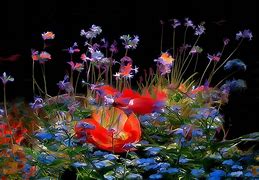 Image result for Abstract Flowers