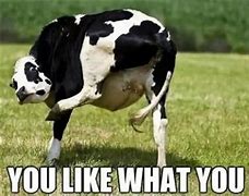 Image result for Soon Cow Meme