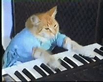 Image result for Cat Playing Piano Animation