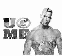 Image result for Sr John Cena Wife