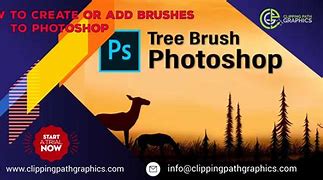Image result for Soft Brush Photoshop