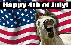 Image result for Animal 4th of July Jokes