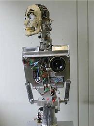 Image result for Humanoid Robot Skelington